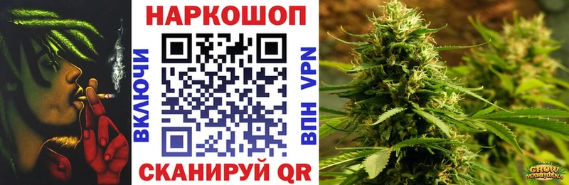 Меф Новосокольники