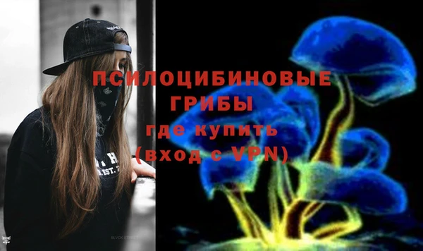 скорость Лагань