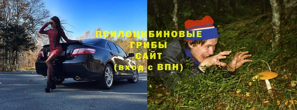 молекула духа Железногорск-Илимский