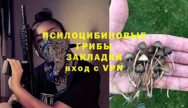 скорость Лагань