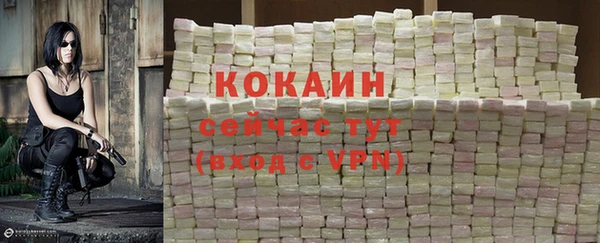 винт Ладушкин