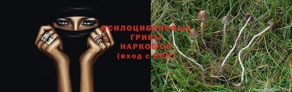 винт Ладушкин