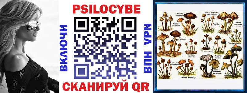 Псилоцибиновые грибы мицелий  Новосокольники 