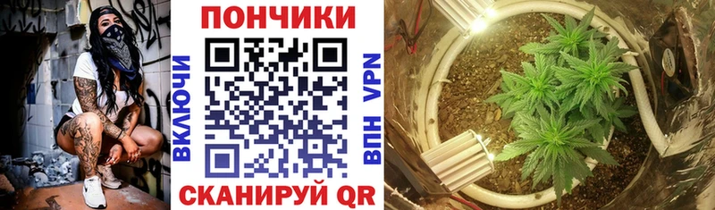 shop как зайти  дарнет шоп  Новосокольники  Каннабис White Widow 